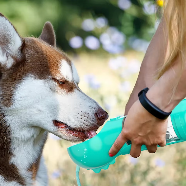 Bottiglia 4-in-1 per idratare e nutrire il tuo cane